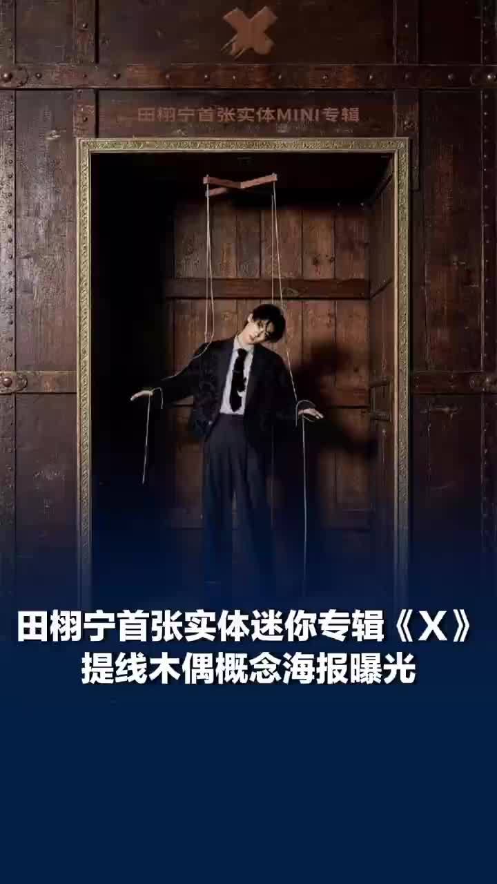 田栩宁提线木偶海报