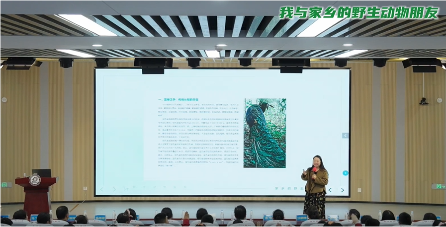 图片5