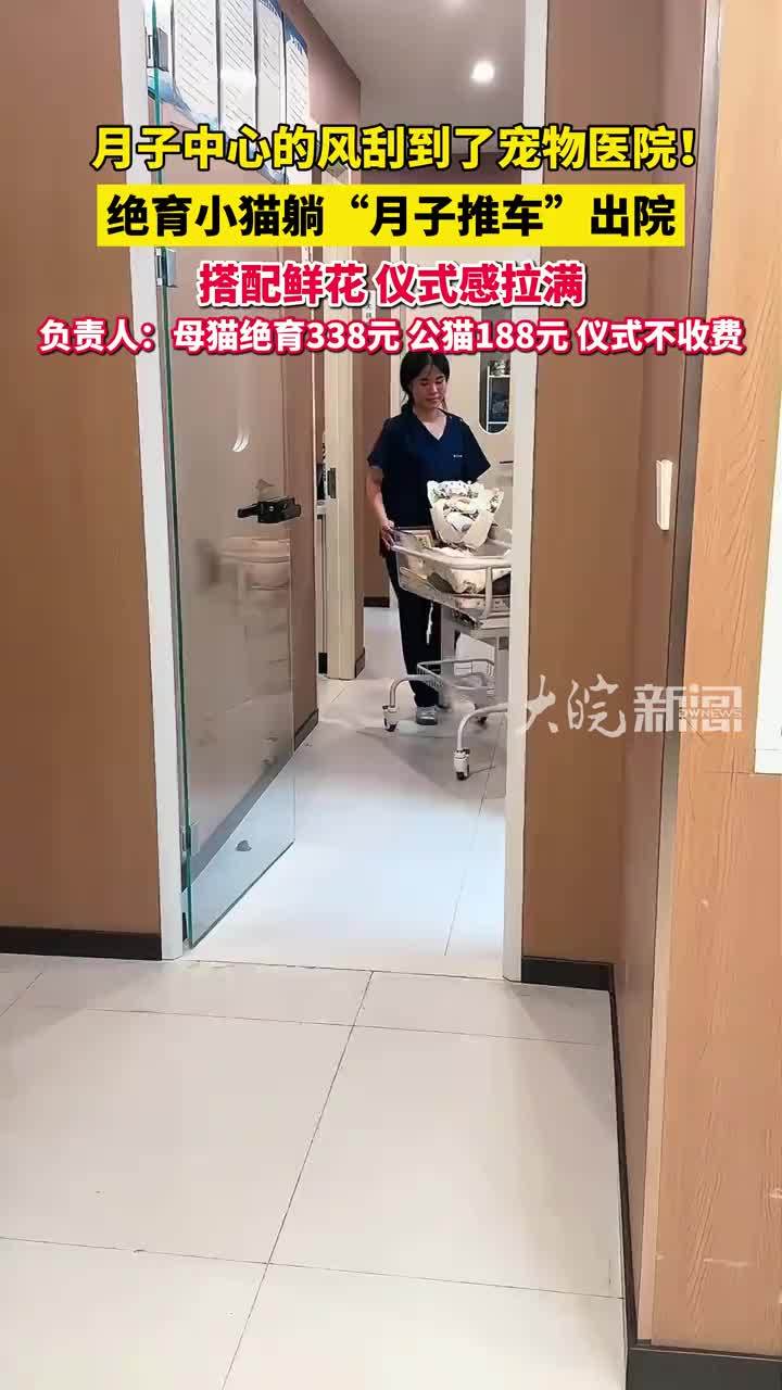 月子中心的风刮到了宠物医院！绝育小猫躺月子推车出院，医院：仪式不加价