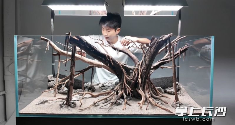 余传威搭建造景。