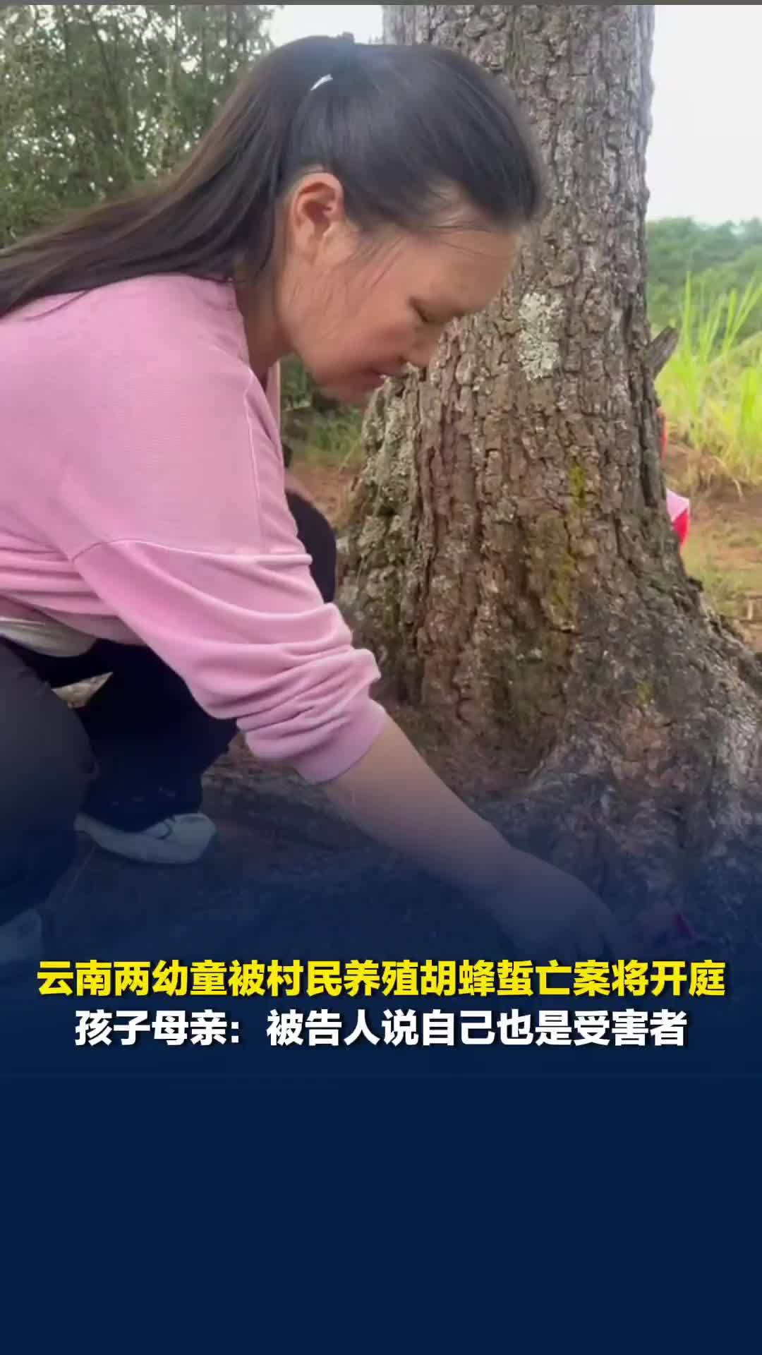 云南两幼童被村民养殖胡蜂蜇亡案将开庭，孩子母亲：被告人说自己也是受害者