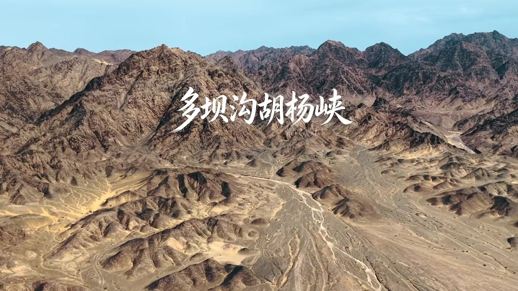 约一波甘肃阿克塞秋景　千年胡杨最佳观赏期别错过