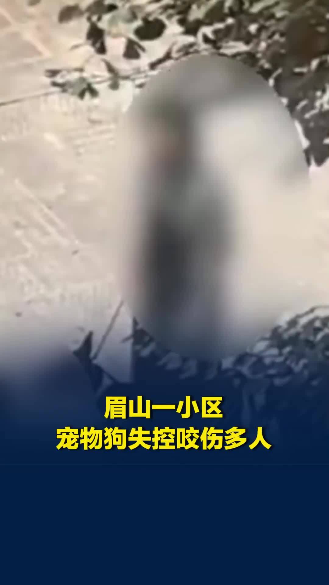 四川眉山一小区宠物狗失控咬伤多人，当地街道办事处回应