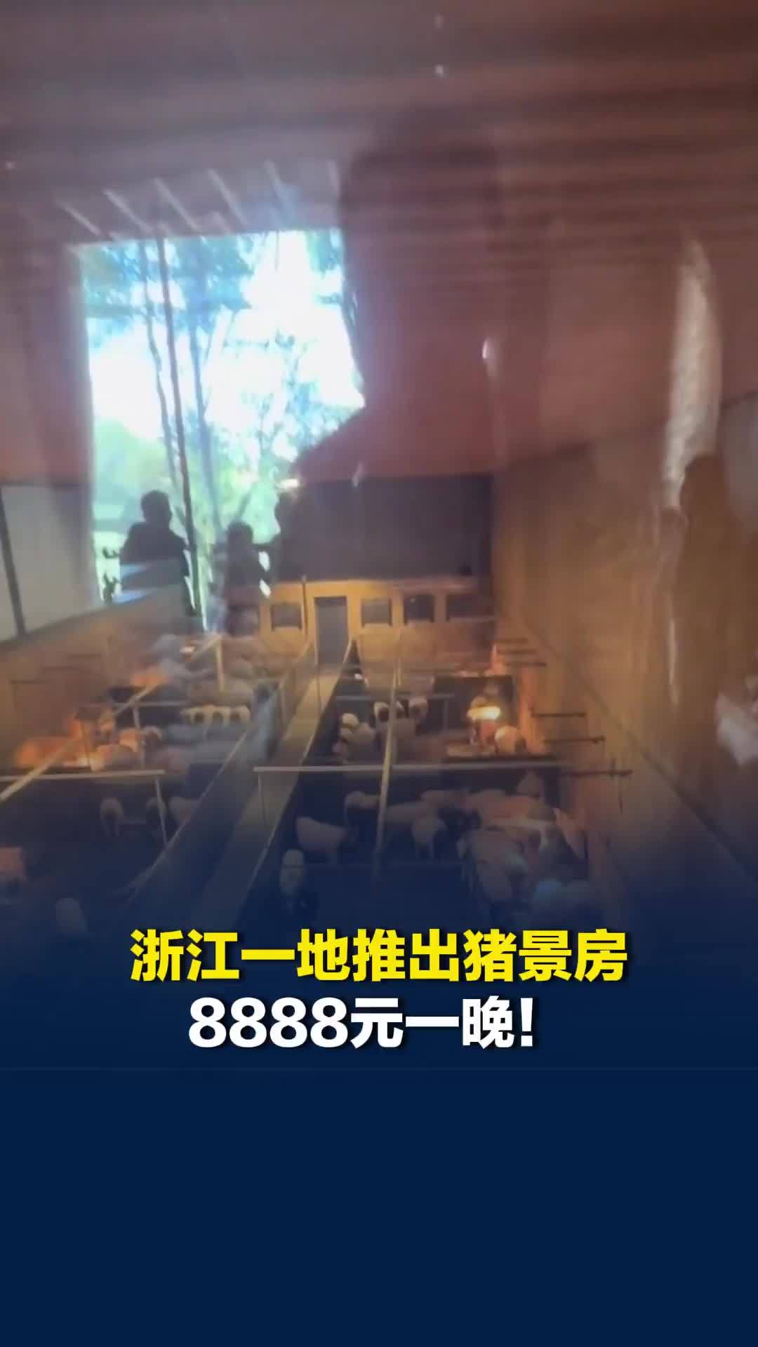 浙江一地猪景房8888元一晚，网友：这一晚上睡得“真香”
