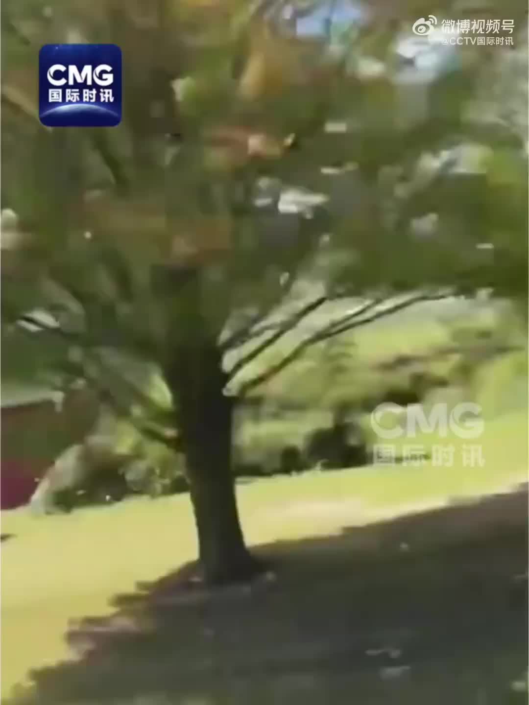 一架F-16战机在美国密歇根州坠毁，飞行员弹射逃生