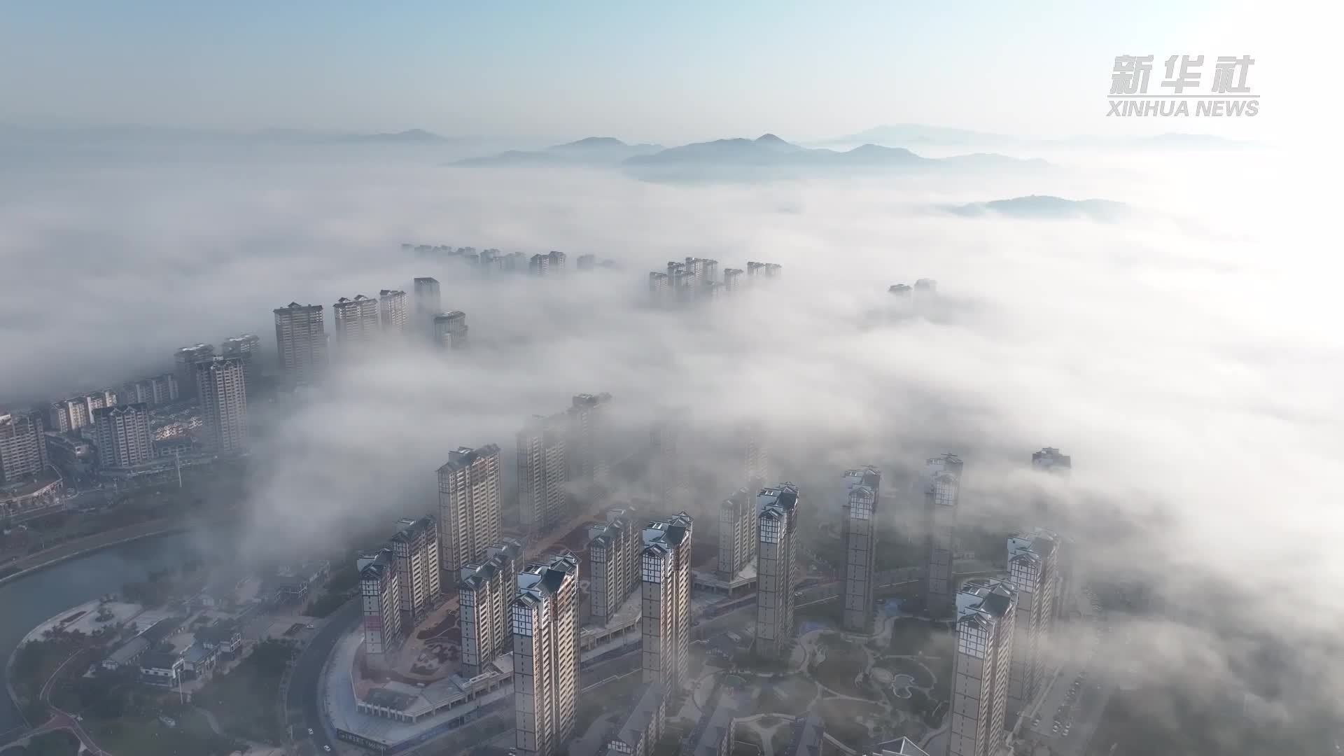 赓续长征精神 奋进复兴征程｜红色热土育红椒 小特产撑起大产业