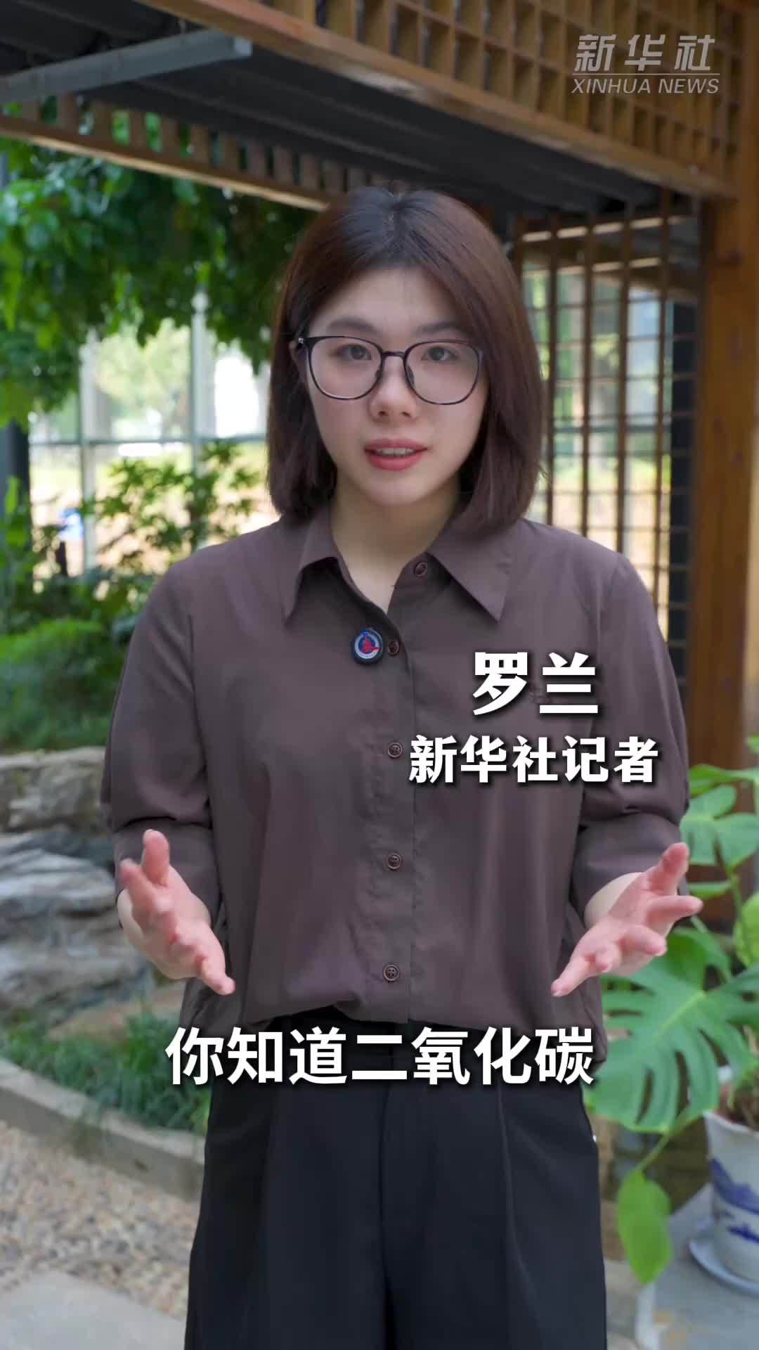 别误解，碳市场不是简单“花钱买排放”