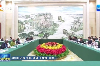 罗文会见安哥拉国民议会议长德阿尔梅达