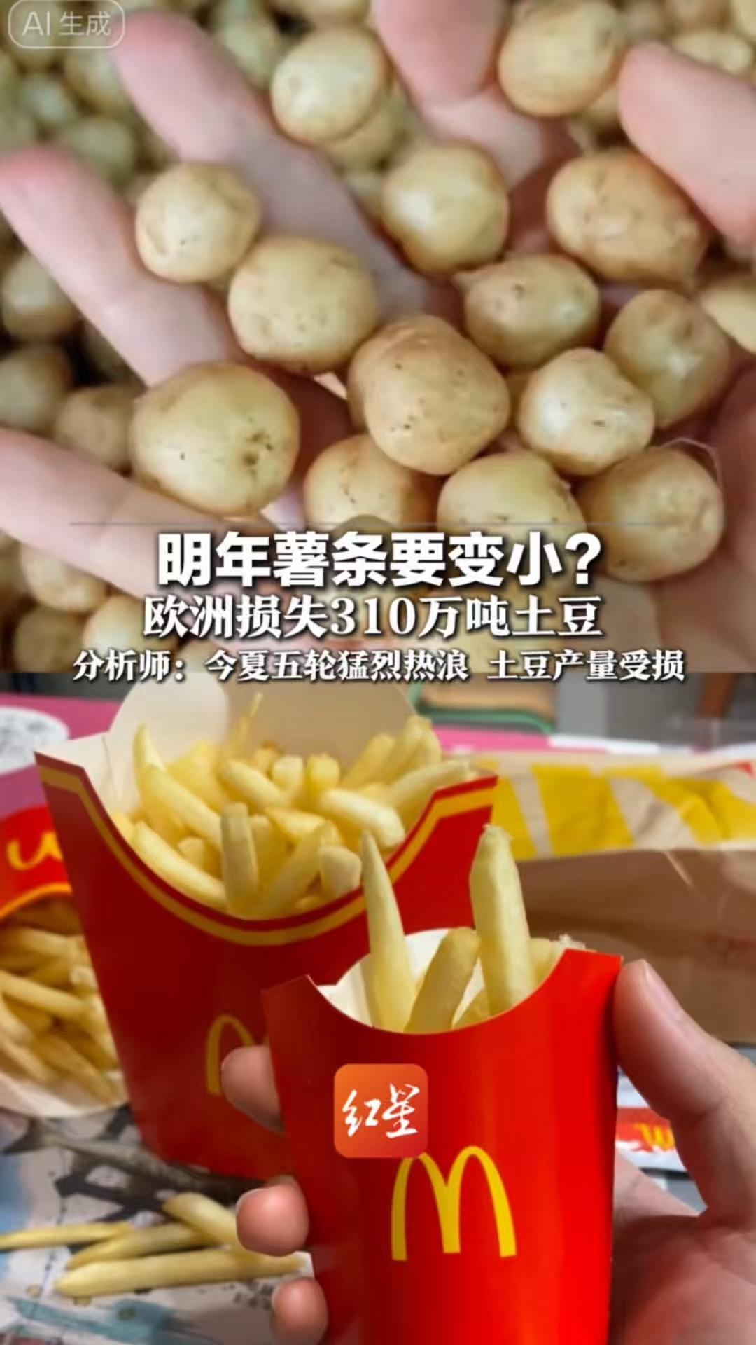 明年薯条要变小？欧洲损失310万吨土豆分析师：今夏五轮猛烈热浪 土豆产量品质都受损