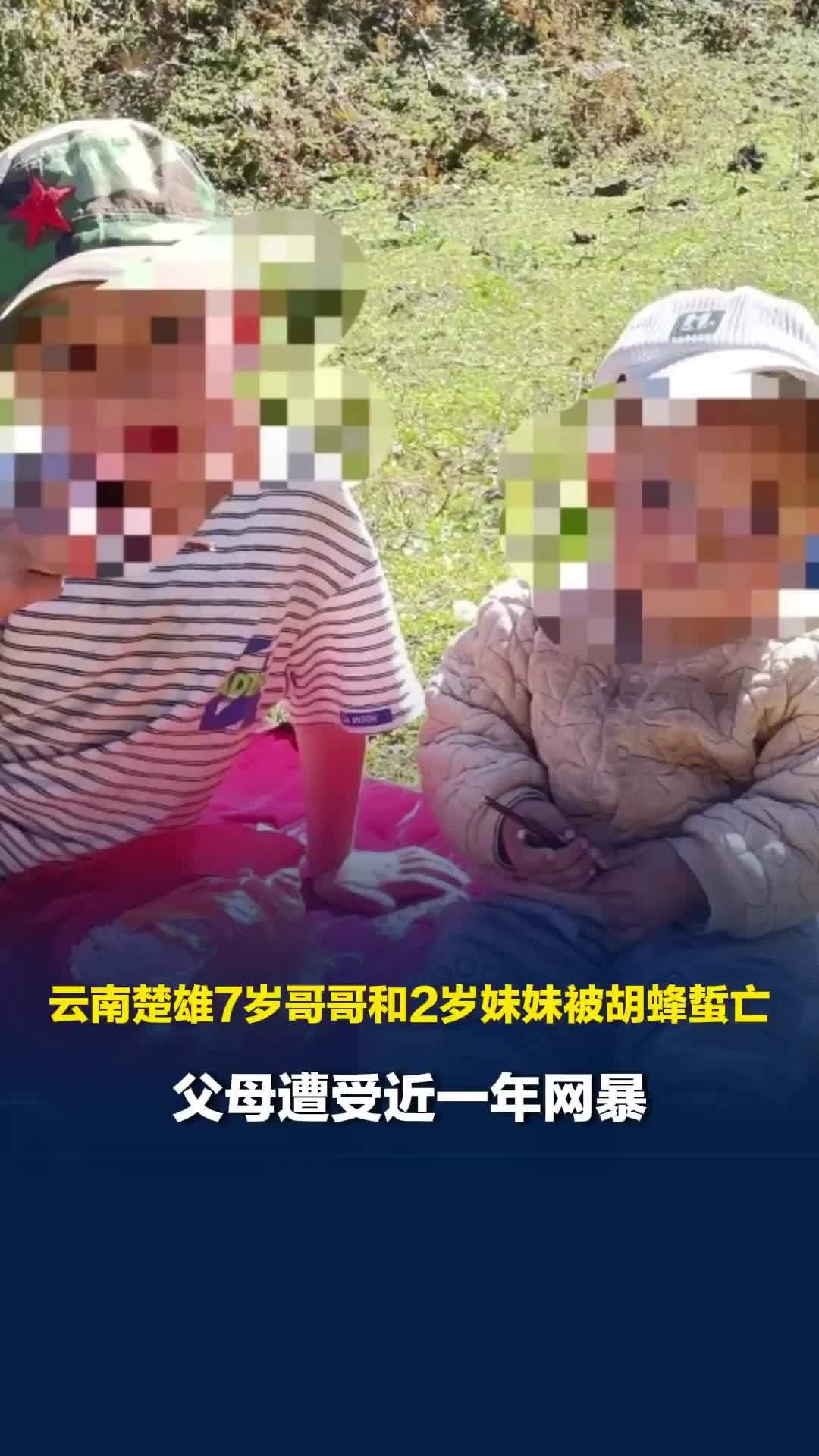 云南楚雄7岁哥哥和2岁妹妹被胡蜂蜇亡，父母遭受近一年网暴，常陷入自我否定