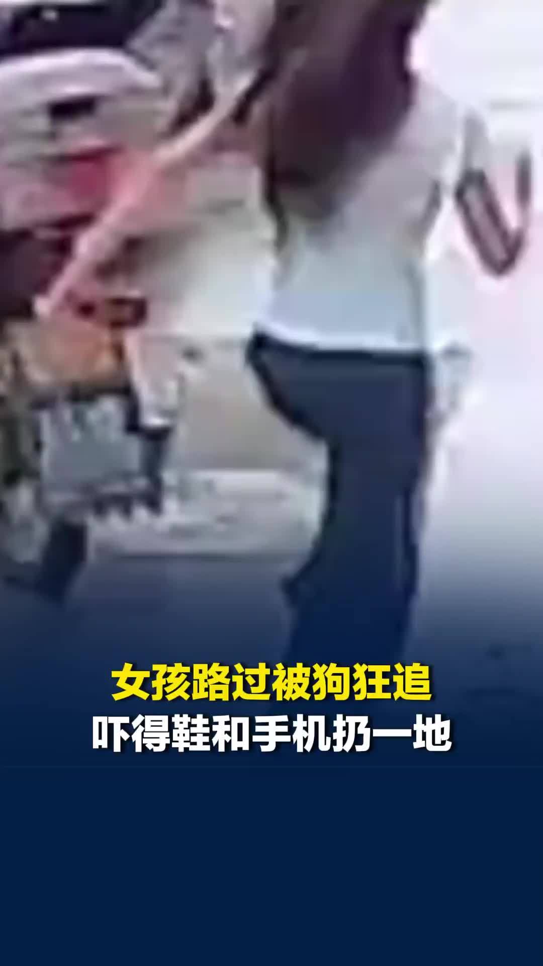 监控拍下惠州一女孩遭狗狂追，吓得鞋和手机扔一地，光脚狂奔不敢回头