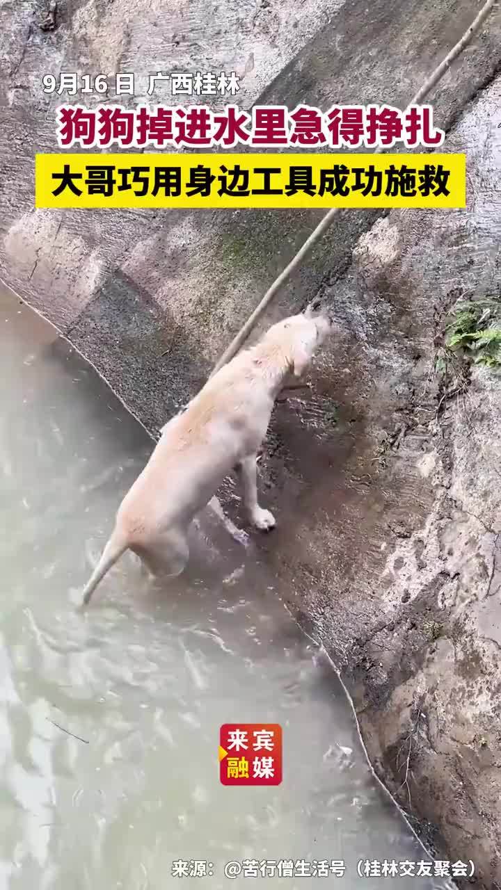 男子自制工具救落水狗