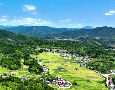 江西遂川：梯田鎏金 稻绘丰景