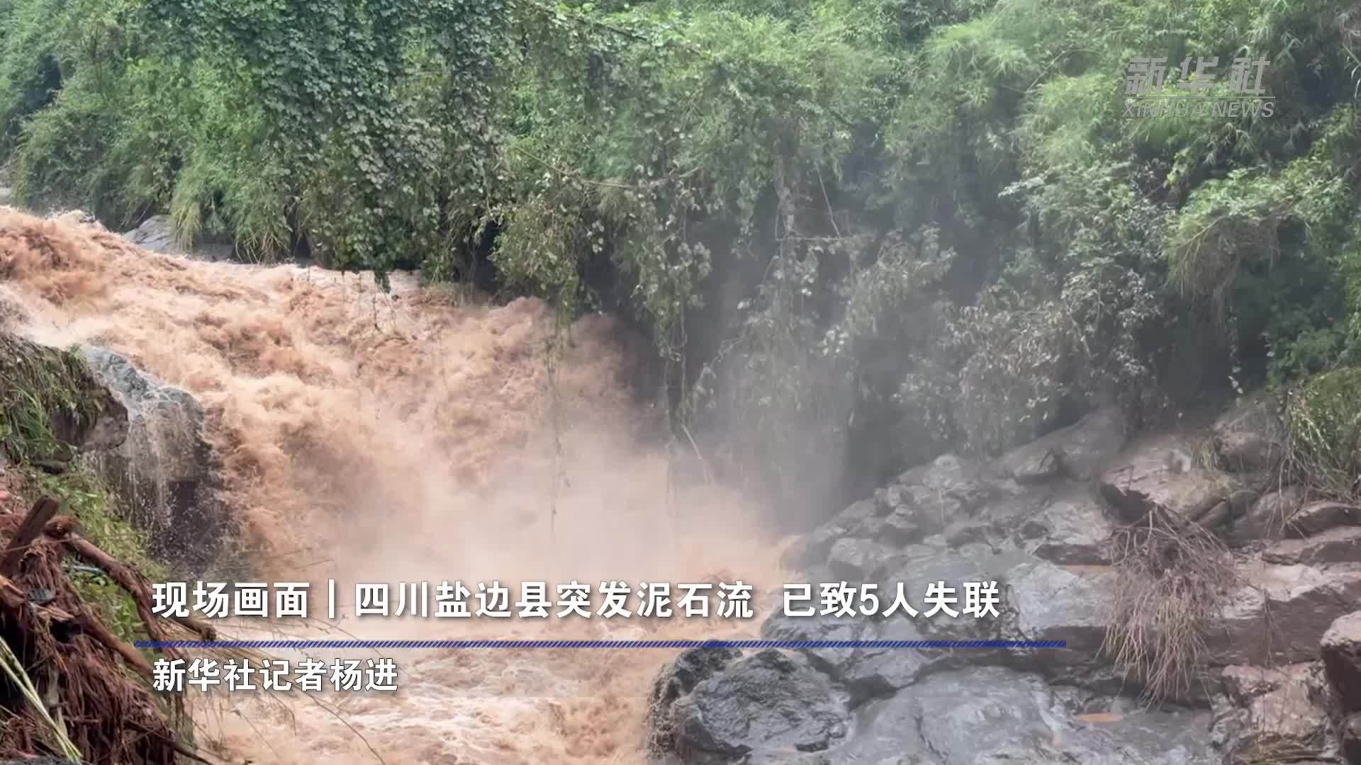 现场画面｜四川盐边县突发泥石流 已致5人失联