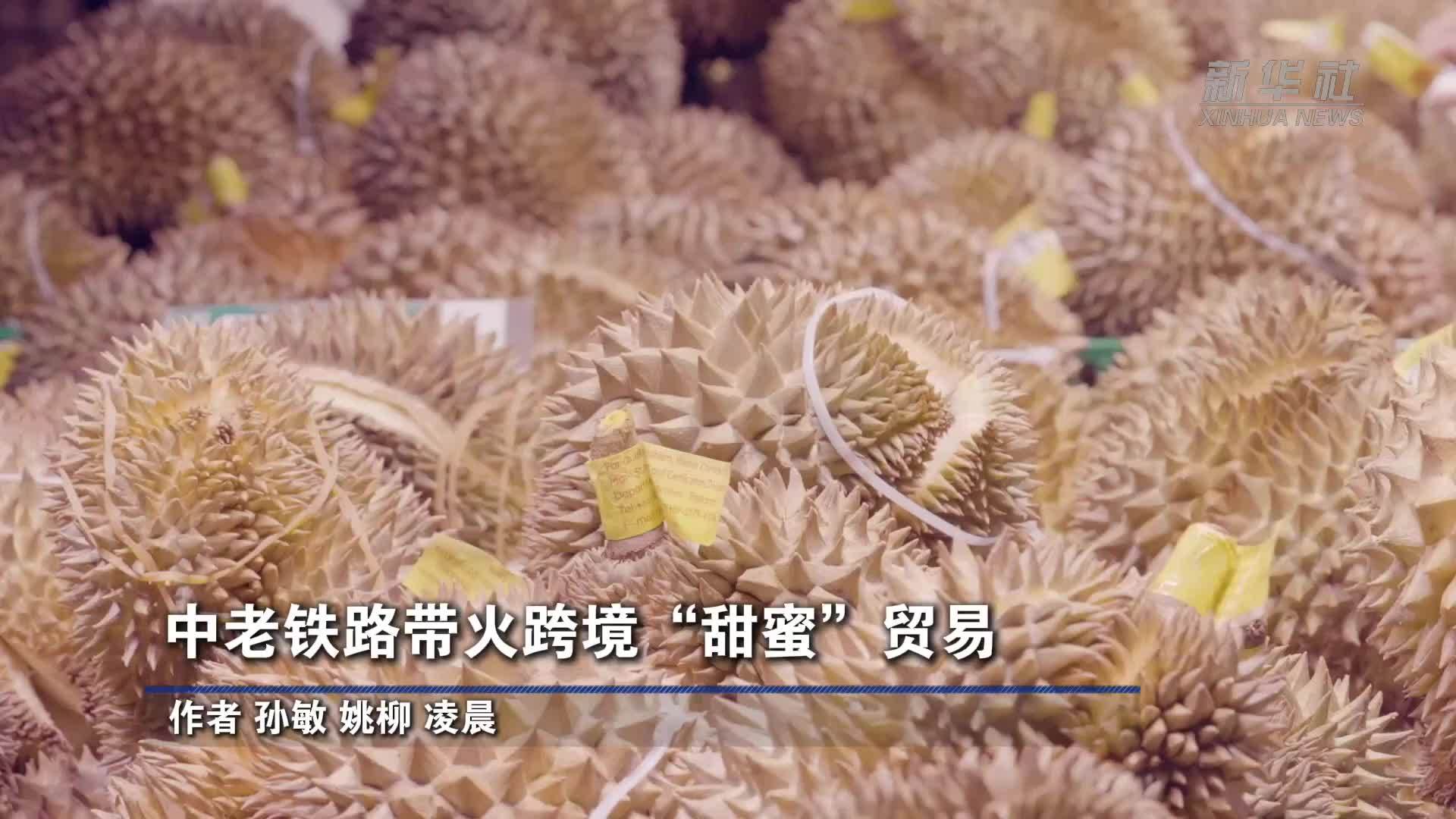 中老铁路带火跨境“甜蜜”贸易