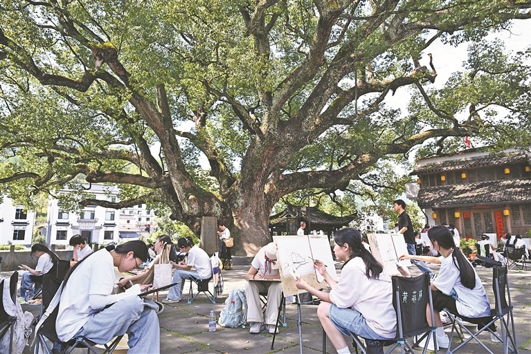 在浙源乡虹关村，前来写生的学生在村口古樟树下认真创作。