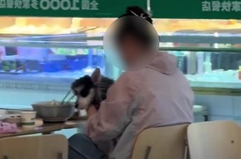 老乡鸡滁州一门店被曝宠物狗被带入餐厅并近距离接触餐具！老乡鸡回应