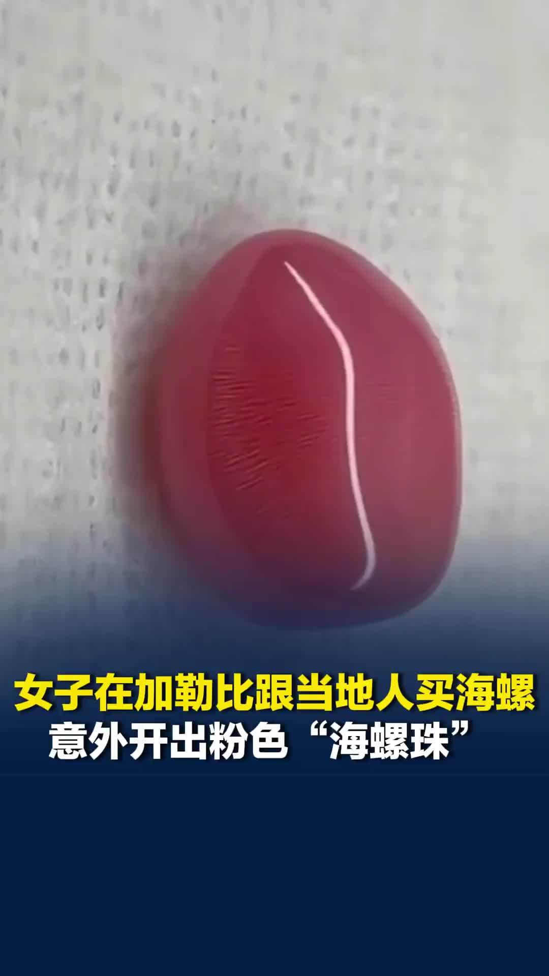 女子在加勒比跟当地人买海螺，意外开出粉色“海螺珠”，约5万只海螺才出一颗