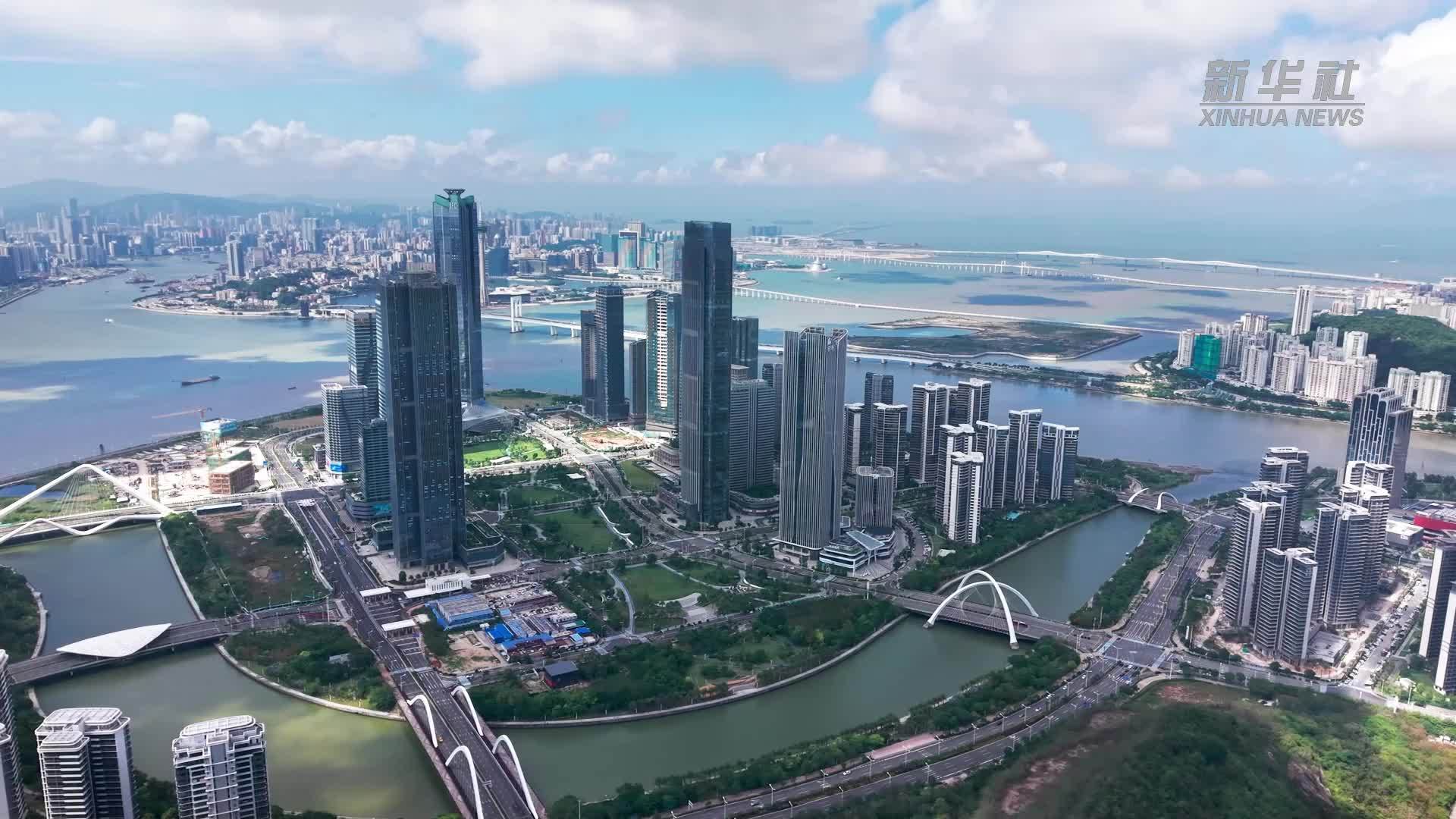 横琴：从“育苗培优”到“产业森林”