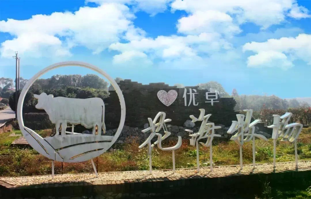 图片39.png