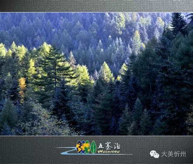 忻州五寨:生态文旅绘就康养画卷
