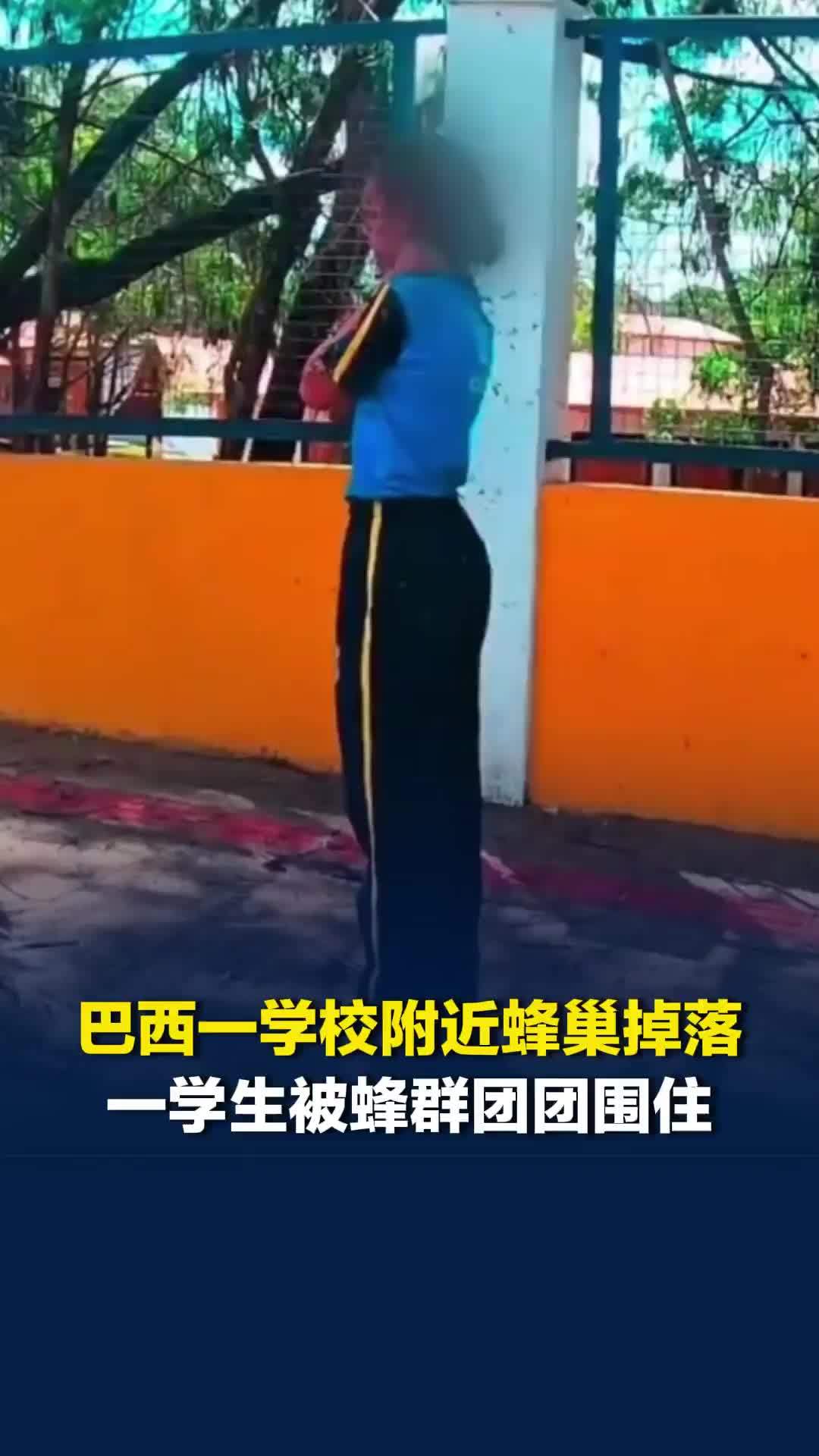 巴西一学校附近蜂巢掉落，一学生被蜂群团团围住，站在路边被蛰得惨叫连连