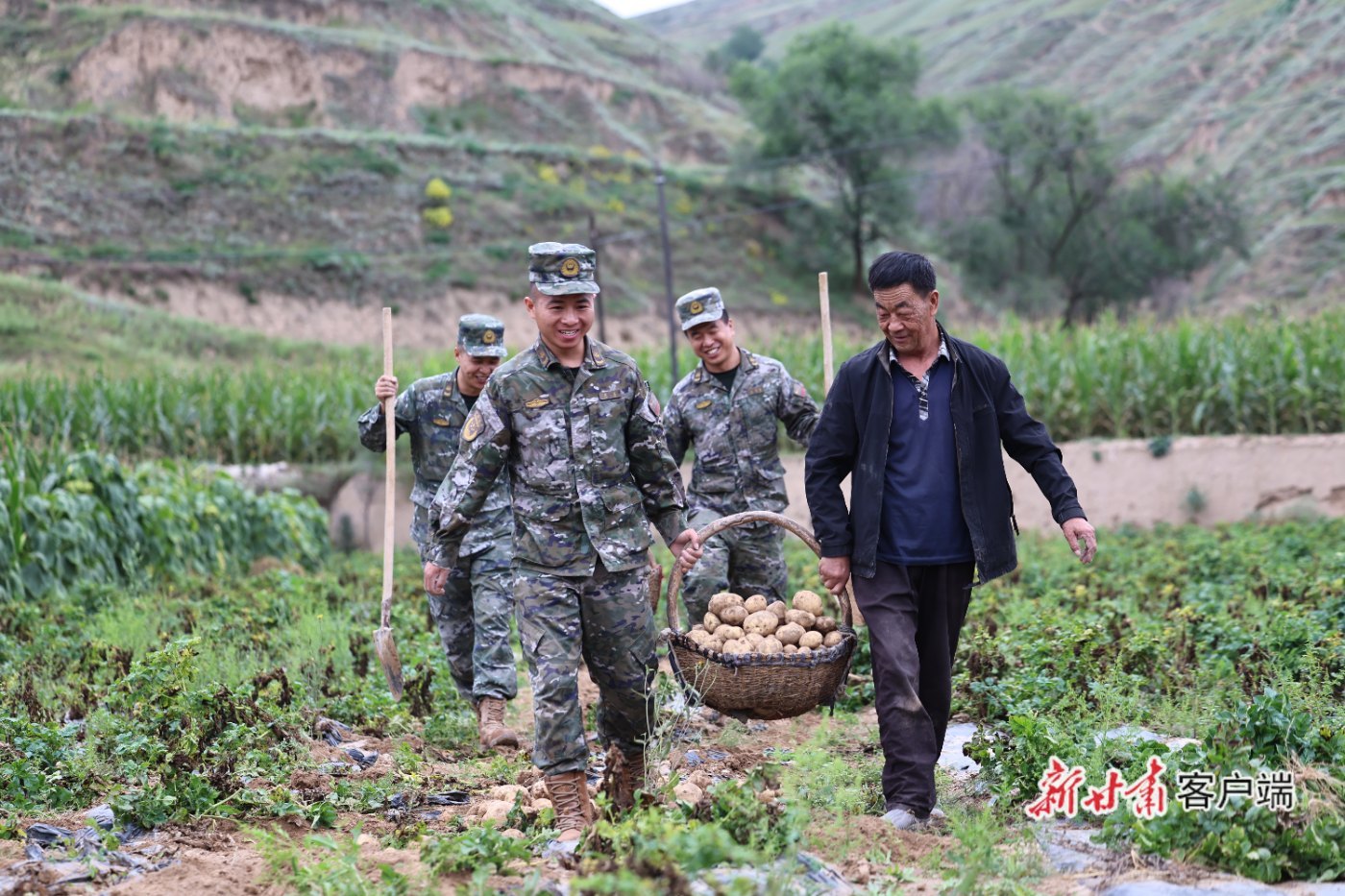 武警白银支队会宁中队官兵与双庙村村民一起收获农作物　本文图片均由武警甘肃总队白银支队提供