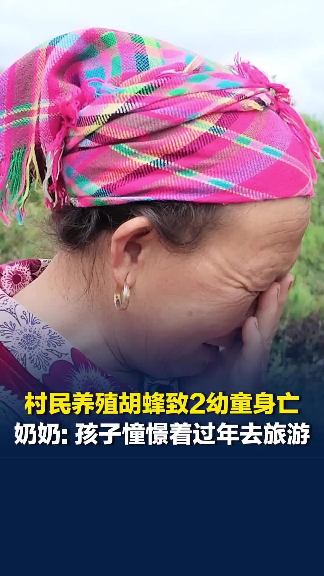 云南一村民养殖胡蜂致2名幼童身亡，奶奶回忆事发当天：孙儿很懂事，知道捡菌子换钱