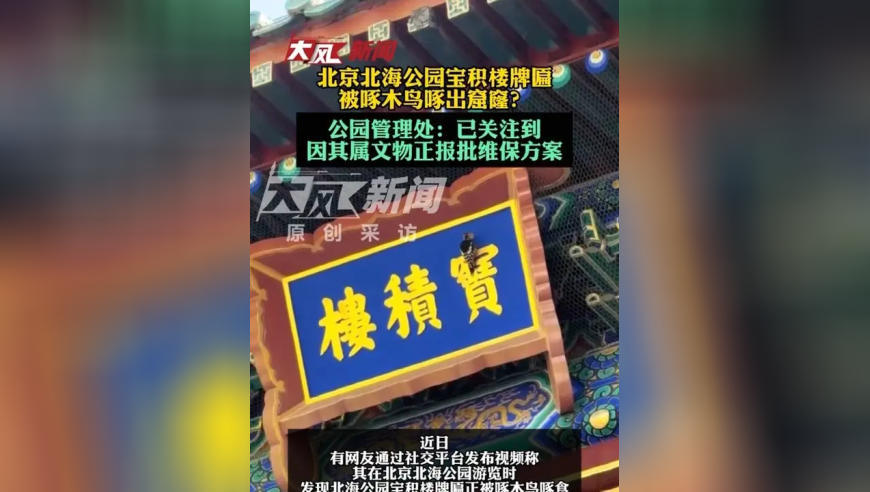 北京北海公园宝积楼牌匾被啄木鸟啄出窟窿？公园管理处：已关注到，因其属文物正报批维保方案