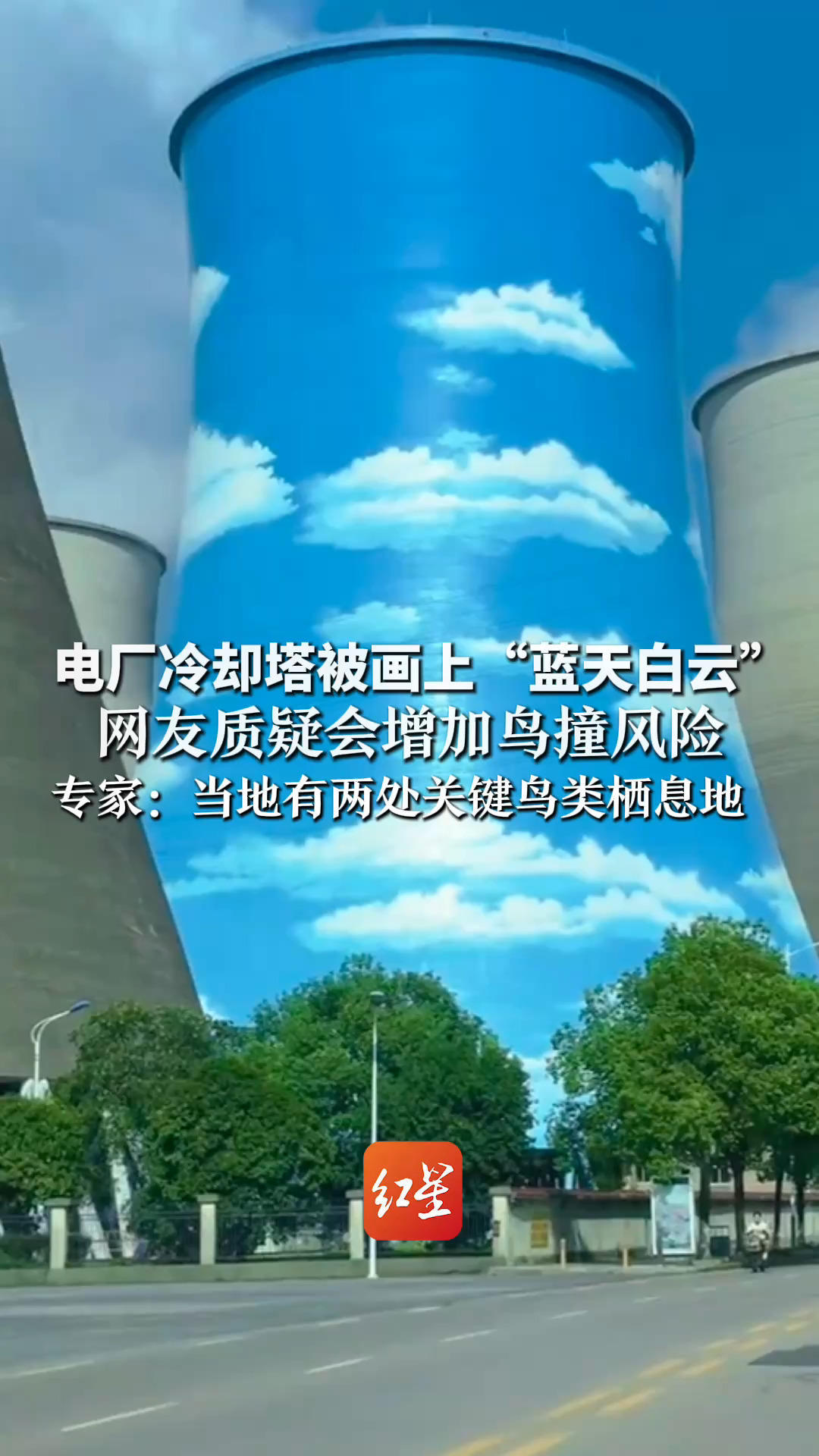 电厂冷却塔被画上“蓝天白云”网友质疑会增加鸟撞风险 专家：当地有两处关键鸟类栖息地 彩绘可能误导鸟类