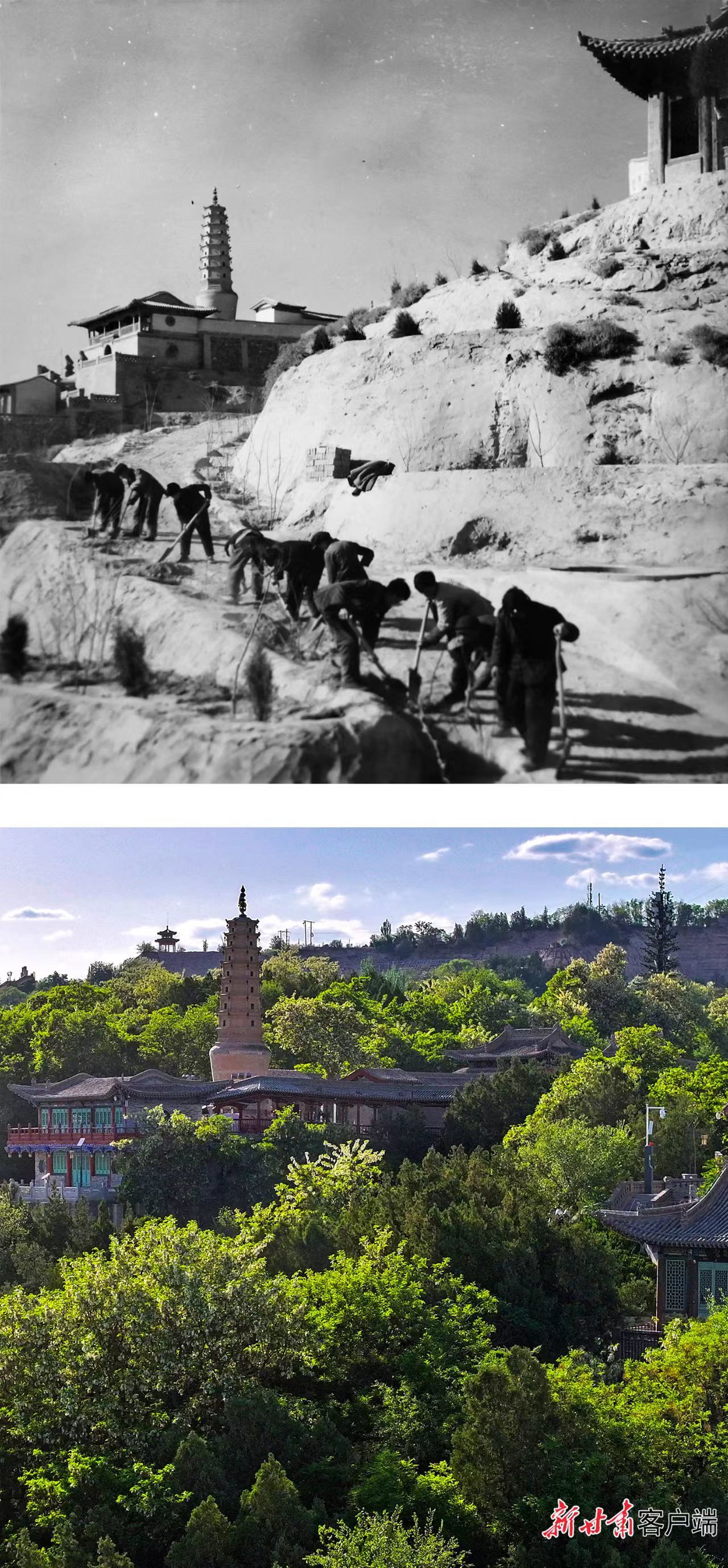 拼版图：上图为1958年初春，兰州人民在白塔山下植树造林。下图为2026年在同一位置拍摄的对比图。