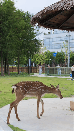 9月16日(1).gif