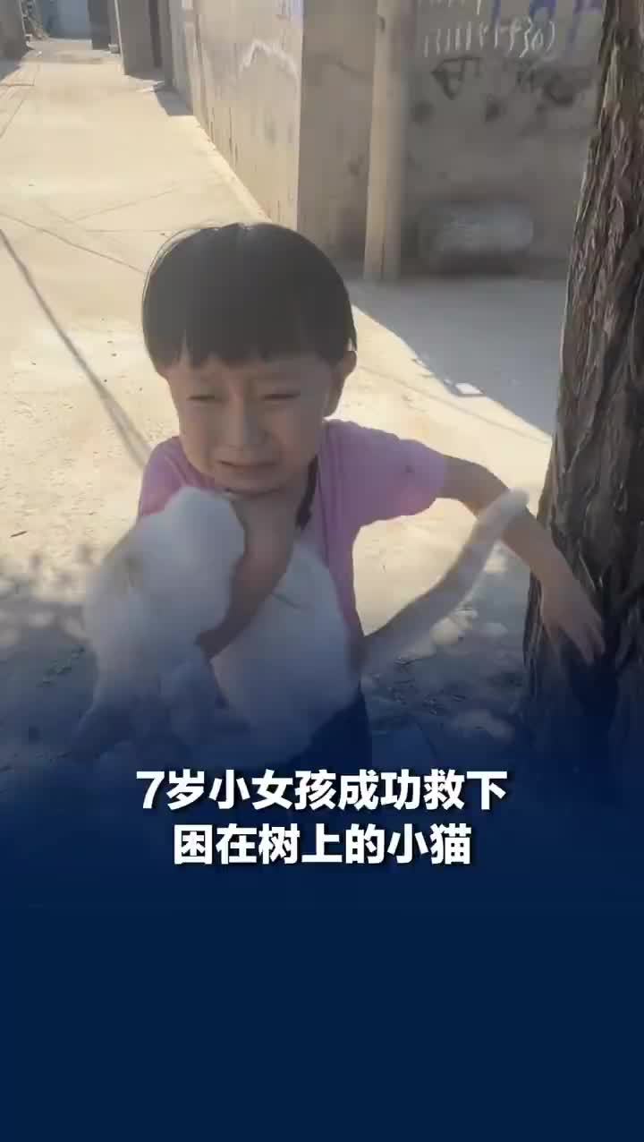 7岁小女孩救下困在树上的小猫