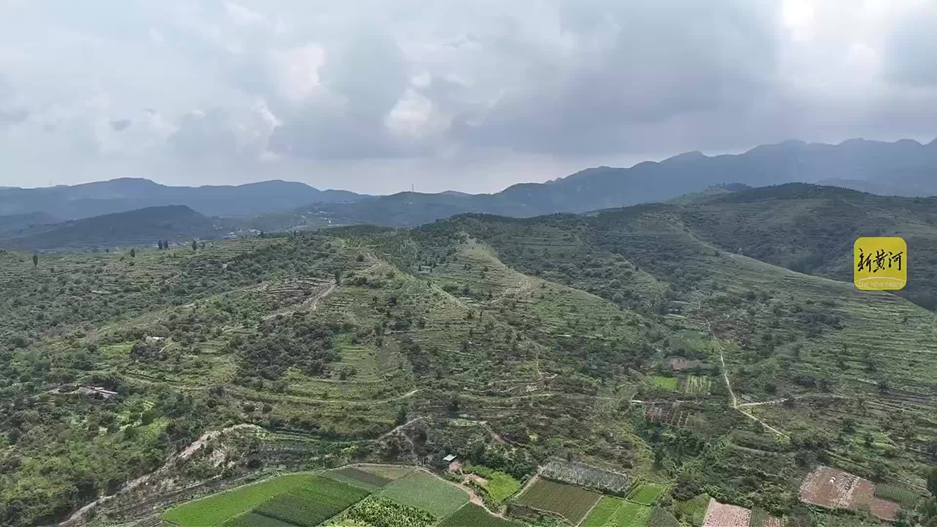 陈明新：把乡亲们的日子种出甜头来|初心·寻迹