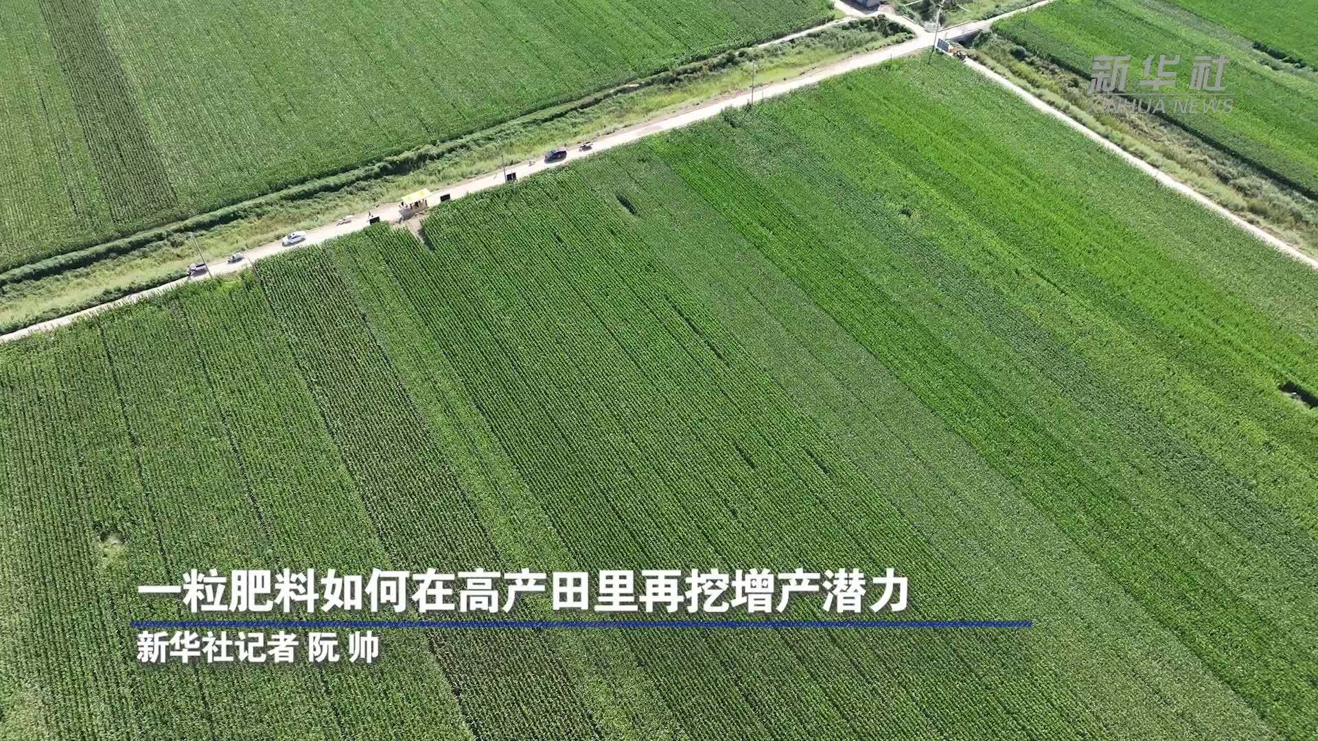 一粒肥料如何在高产田里再挖增产潜力