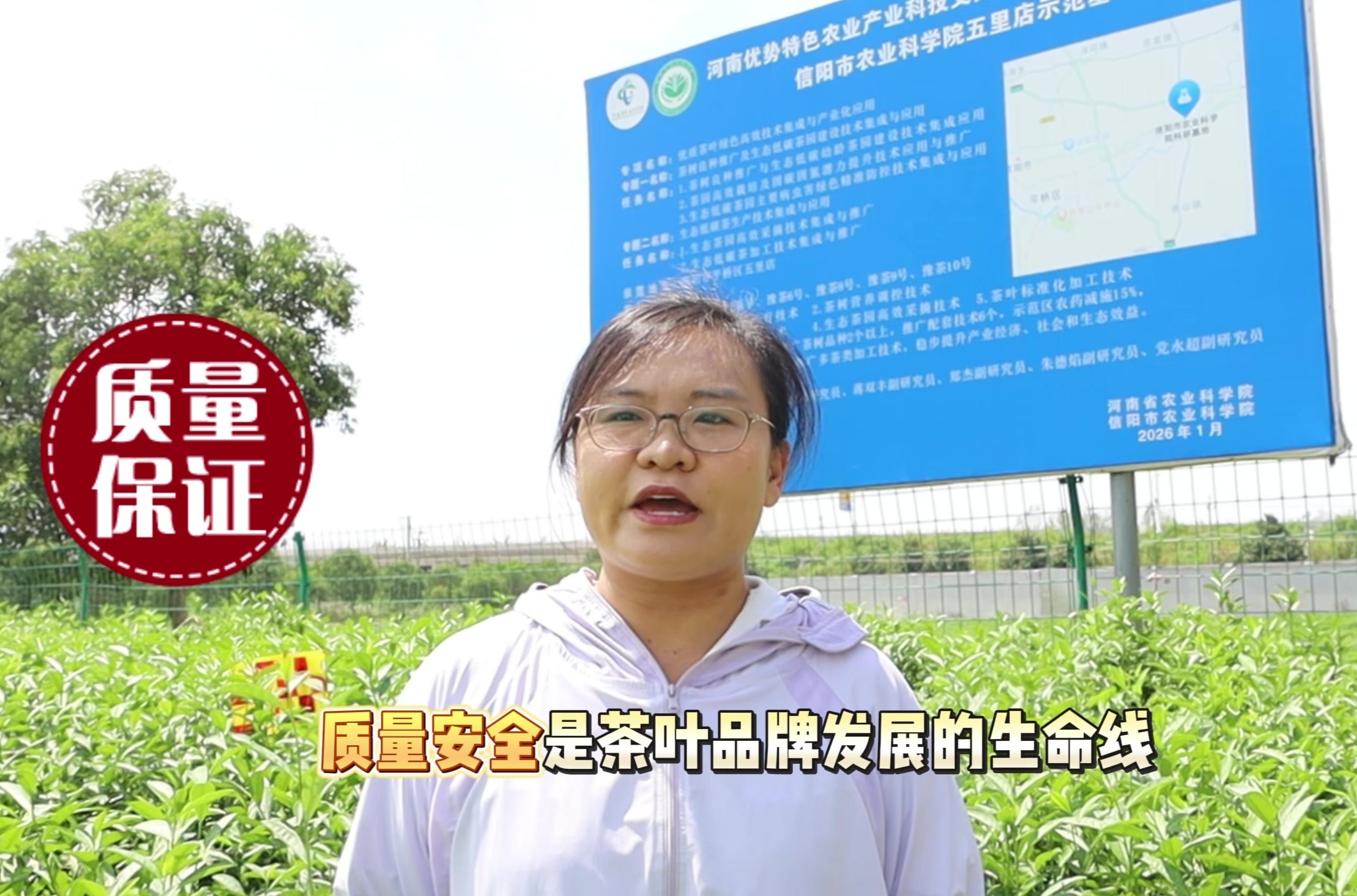 对付茶园害虫有妙招 信阳市农科院科普茶园绿色精准防控技术