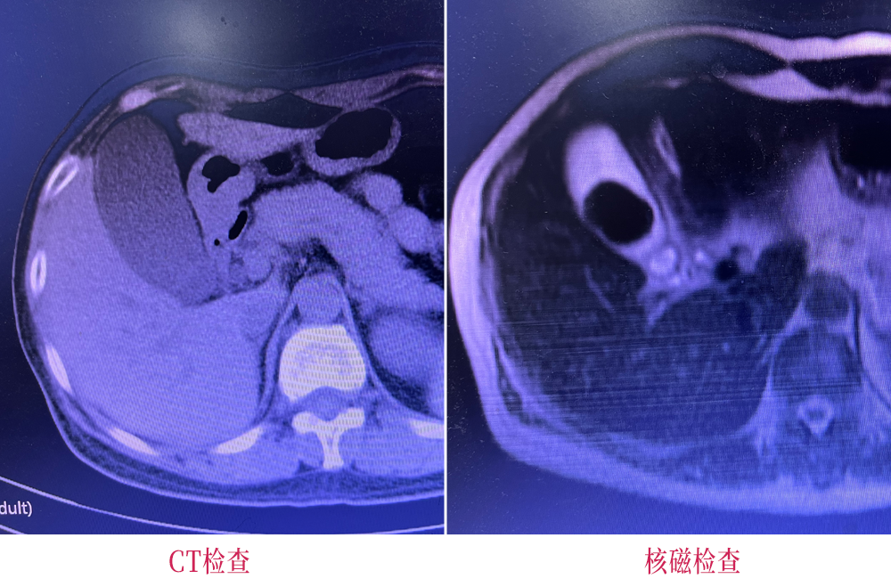 医术精湛 尽心尽责 医德高尚 仁心仁术