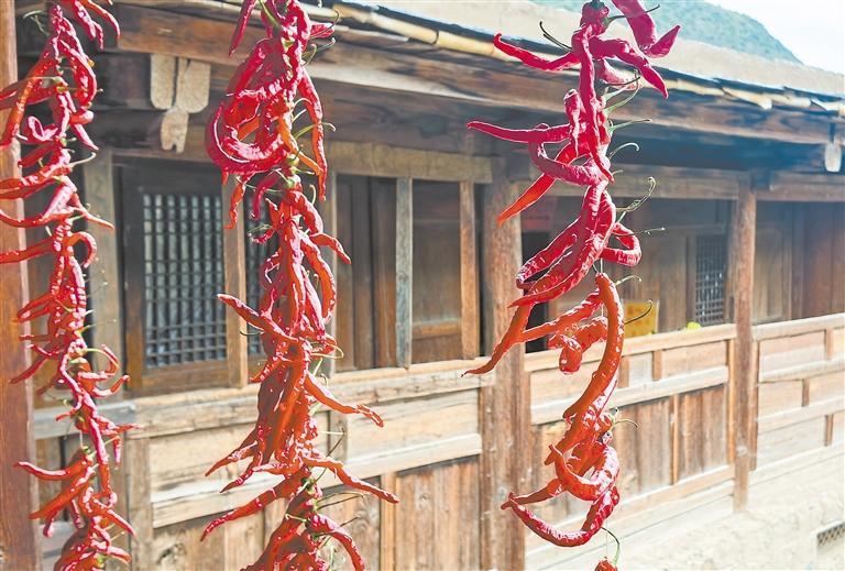 迭部县茨日那村民居一角