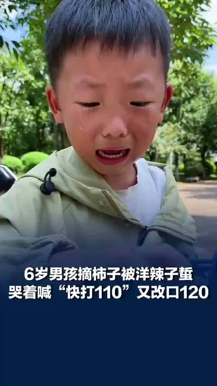 6岁男孩摘柿子被洋辣子蜇伤，哭着喊“快打110”又改口120