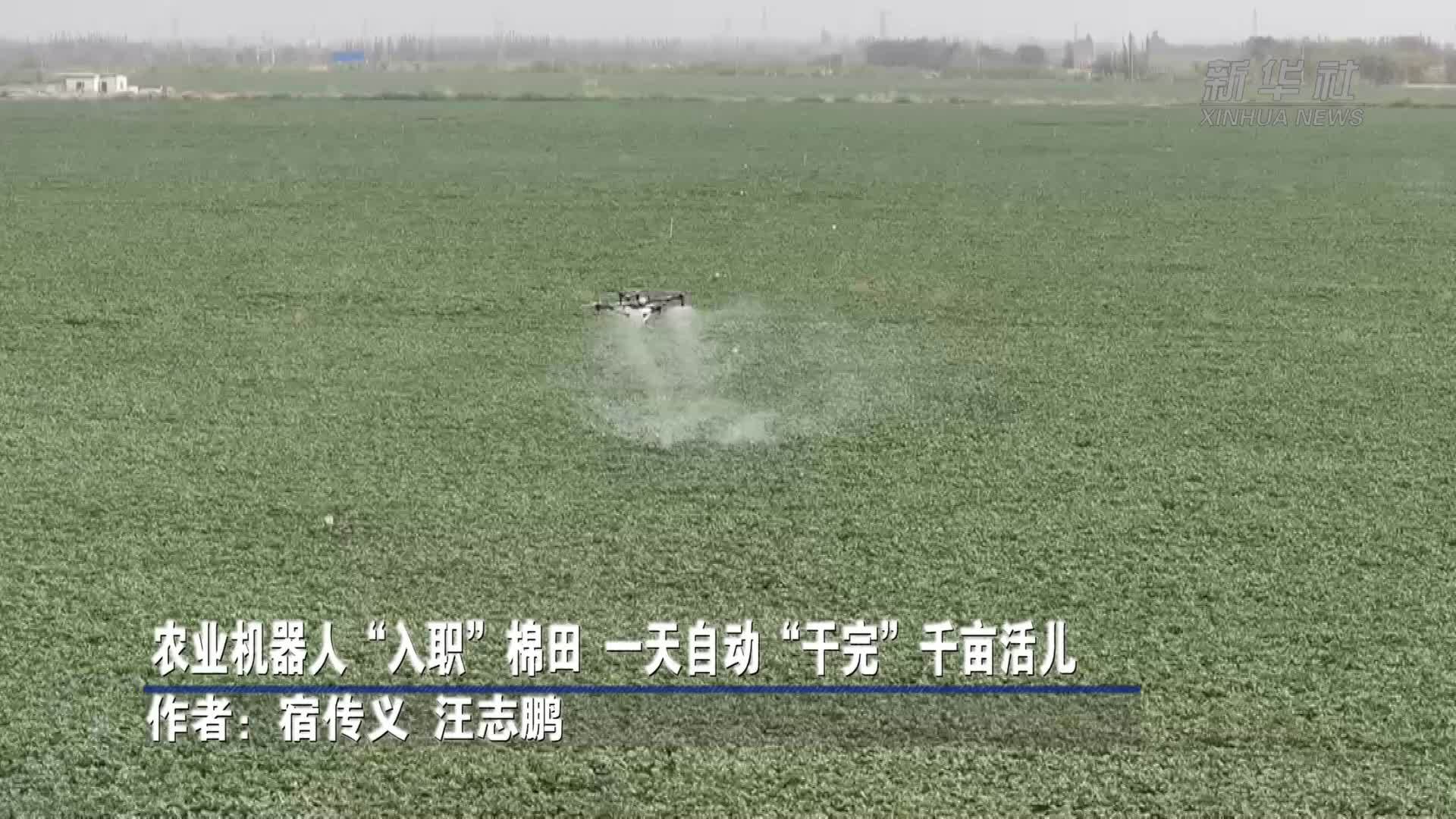农业机器人“入职”棉田，一天自动“干完”千亩活儿