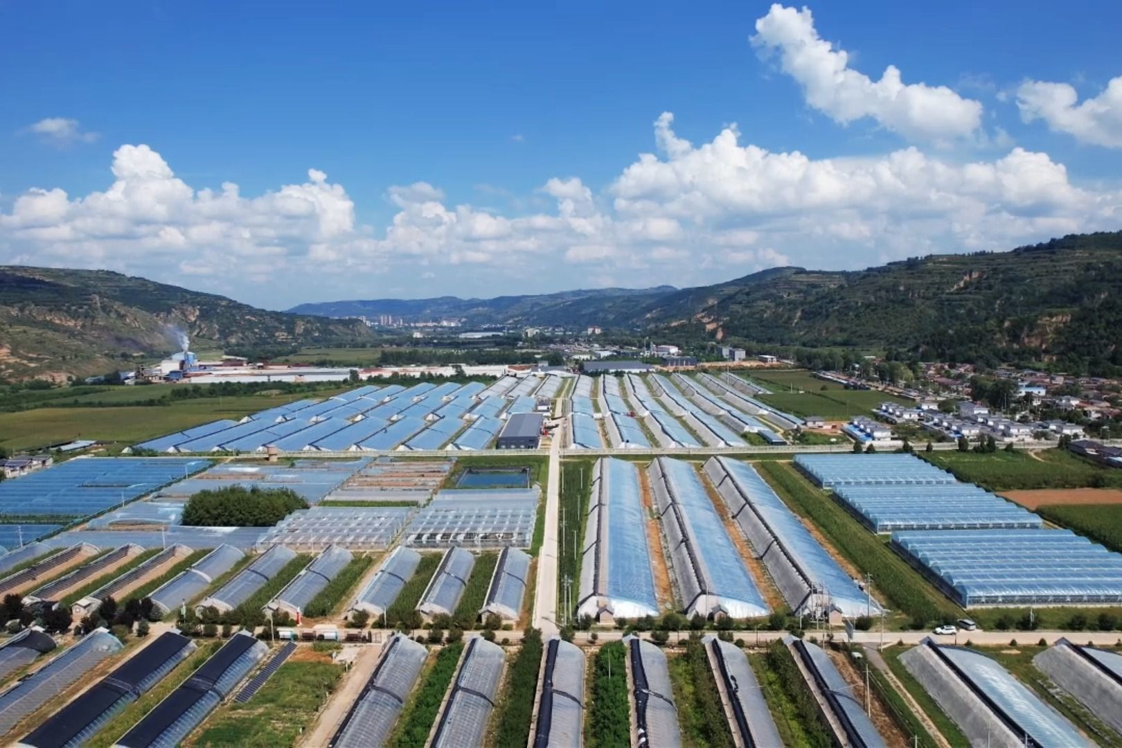 1.汭丰镇设施蔬菜大棚航拍大景