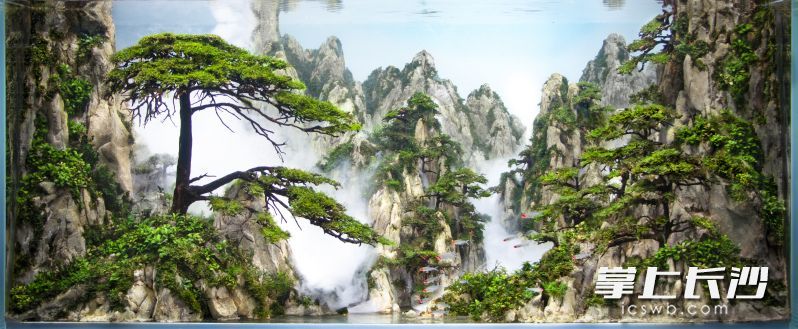 余传威造景作品《黄山》。均为受访者供图