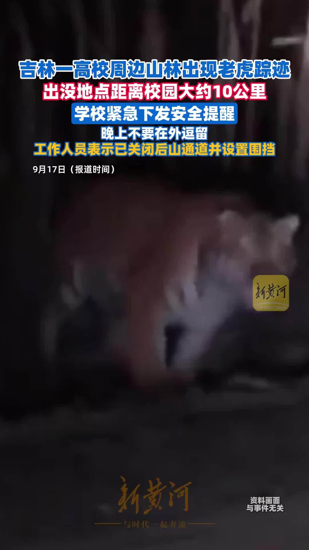 吉林一高校周边山林出现老虎踪迹，学校紧急通知