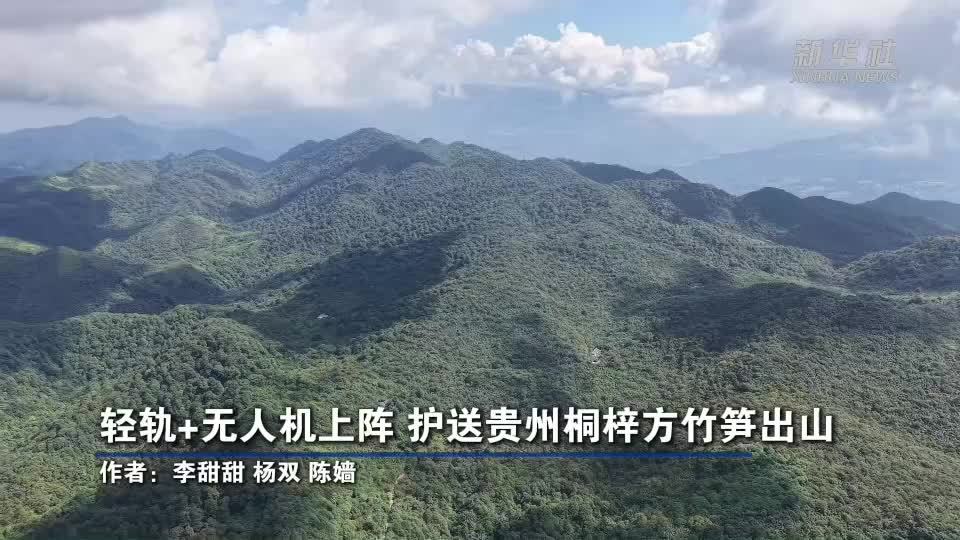 轻轨+无人机上阵 护送贵州桐梓方竹笋出山