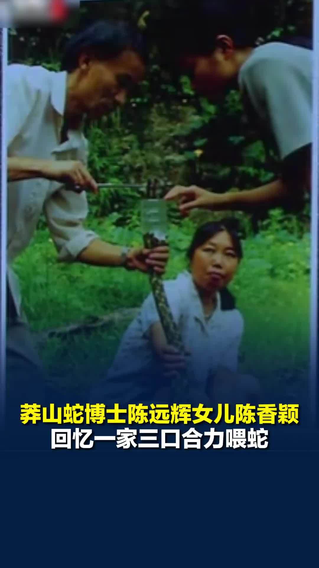 蛇博士陈远辉女儿陈香颖回忆一家三口合力喂蛇，母亲养殖的鸡鸭大部分留给蛇吃