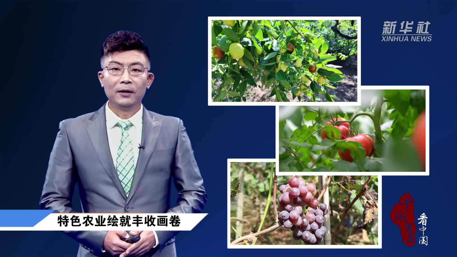 千城百县看中国｜特色农业绘就丰收画卷