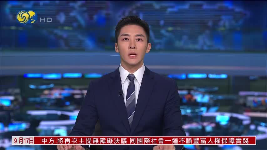 法国议员：中欧经济合作助应对不确定性
