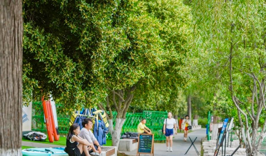 赏桂品咖逛市集,东湖听涛双节玩法上新