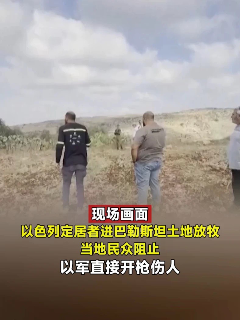 现场画面｜以色列定居者进巴勒斯坦土地放牧，当地民众阻止，以军直接开枪伤人#以色列 #巴勒斯坦