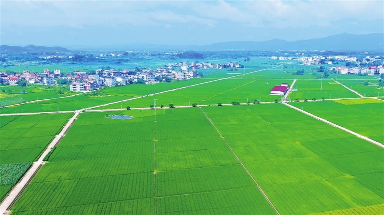 宁都县：秋日乡村画卷（图）
